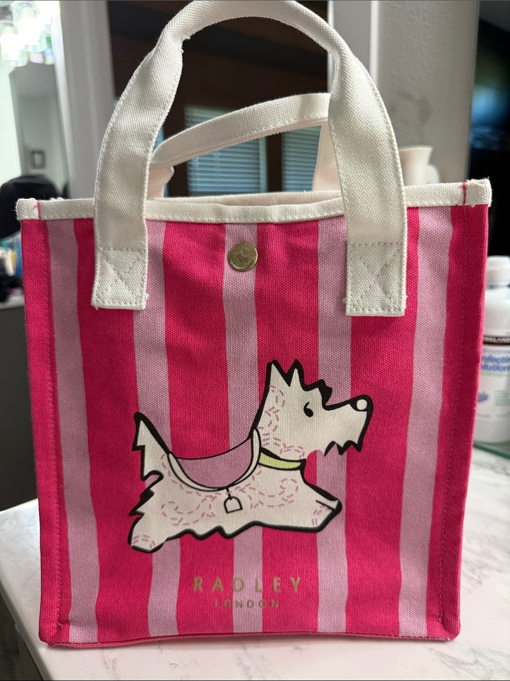 Radley London Magic Carousel Small Canvas Tote Bag with Westie Dog